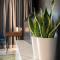 Veria Suite