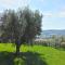 Agriturismo MonteMaggio