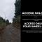 Escapadita al Bosque