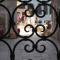 Venice's Heart Foto: Venice's Heart