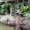 Sigiri Jungle Villa