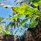 Mango Tree House