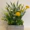 Newly refurbished town centre apartment