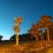 KINCLAVEN ESCAPES Farm Stay - Wine Region - Family