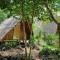 Lazy Lizard Hostel
