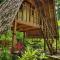 Lazy Lizard Hostel