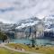 Mountain Oasis Apartment Kandersteg-Adelboden