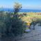 Aphrodite Family Eco Camping