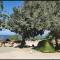 Aphrodite Family Eco Camping
