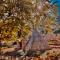 Aphrodite Family Eco Camping