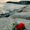 SWEET HOME CORAL BAY SEA VIEW 3 Stocks Paphos Peyia