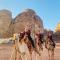 Rum ROZA Luxury Camp