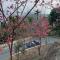 One Roll Stone Homestay