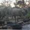 Hornbill Private Lodge Mabalingwe
