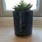 Bray House - Perfect for Large Groups