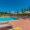 Wonderful Villa in Tuscany with swimming pool and park near Pisa and Florence