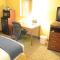Holiday Inn Express Hotel & Suites Houston-Downtown Convention Center by IHG