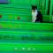 Foto: Green Stairs Guest house 2/44