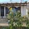 ORFEAS HOYSE 1