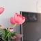 Apartment Suzana
