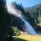 Apartment WEITBLICK - Wald im Pinzgau