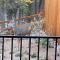 24 Quiver Circle Spectacular Mountain View 5 Acres PIKES PEAK
