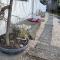 Beachside Taroona with Spa