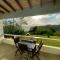 Sea Cliff Eco-Cottages & Gin Distillery