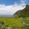 Casas da Cascata - Lajes das Flores