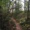 Tiny hut in the forest overlooking the river - Avesta