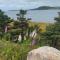 Rocky Harbour Oceanfront - Rocky Harbour