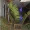 Eltari Homestay