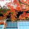 Guesthouse Kioto