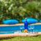 Ideal Property Mallorca - Mamici
