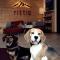 Rittis Alpin Chalets Dachstein