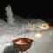 Alps Hoamat Ferienchalet