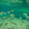 Hostel e Pousada Blue Lagoon