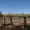 Entre viñas, sol y montañas - Alto de Sierra