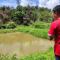 Sya Cottage