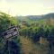 Weingut Reiterer