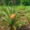 Welfare AgroTurismo