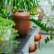 Chi’s homestay