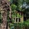 Jungle Tree House Munnar