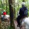 Hotel Rio Celeste to Know
