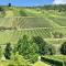Weinlofts an der Mosel mit E10 Ladestation