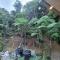 Highlanders Garden Guesthouse at Arundina Cameron Highlands