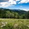 Pinon Park A2