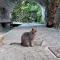 Breathe The Air of Dolceacqua - Dolceacqua