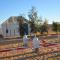 Berber Camp