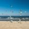 Apartament Baltic Sea Gate Porta Mare 55m2